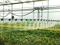 Système d'irrigation mobile par aspersion pour serres agricoles Hangdi, origine Hebei, en alliage d'aluminium galvanisé à chaud