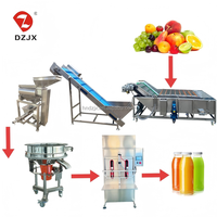 Ligne de production entièrement automatique de jus et de pâte de fruits DZJX, équipement de transformation des fruits et légumes