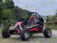 SWICOO Go-kart monoplace 300cc 4 temps refroidi par huile, buggy tout-terrain, voiture de course pour adultes, vente chaude