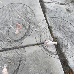 Trappola da Pesca in Filo Metallico a Doppio Anello Datao E-079, Gabbia Pieghevole ad Alta Resistenza con Ampia Apertura e Design a Doppio Anello per una Pesca Stabile - Product Image 2