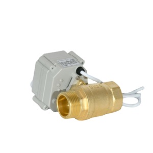 Vanne à boisseau sphérique électrique en laiton DN25 1 pouce pour milieux aqueux et oxygénés avec ports filetés internes et externes - Product Image 5