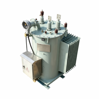 Regulador de Voltaje Automático Monofásico de 10kV para Montaje en Poste, Sumergido en Aceite, Sin PCB, Capacidad Personalizable