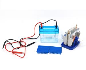 SDS-PAGE देशी पृष्ठ स्थानांतरण इलेक्ट्रोफोरेसिस सेल मॉडल DYCZ-40G - Product Image 5