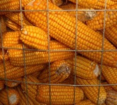 Zoo gabbie per animali rete metallica saldata rete metallica - Product Image 6