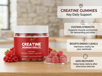 Permen Kunyah Creatine Monohydrate OEM 120 Buah untuk Dewasa Bebas Gula, Mendukung Kekuatan & Energi Otot