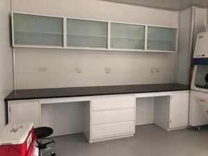 化学教室実験室作業ベンチモジュール鋼と木材耐薬品性実験台シンク付き - Product Image 6