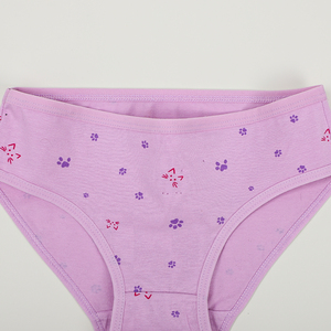 UOKIN Lot de 3 Culottes pour Petites Filles en Coton à 95%, Slips Mignons à Motifs de Dessins Animés pour Enfants de 4 à 10 Ans - Product Image 5