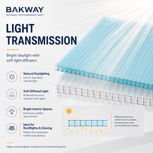 <span class=keywords><strong>Plaque</strong></span> <span class=keywords><strong>alvéolaire</strong></span> transparente en <span class=keywords><strong>polycarbonate</strong></span> BAKWAY 6mm <span class=keywords><strong>10mm</strong></span> à haute transmission lumineuse pour toiture d'entrepôt et couverture de lumière naturelle - Product Image 4