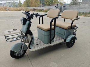 <span class=keywords><strong>Triciclo</strong></span> Eléctrico <span class=keywords><strong>de</strong></span> <span class=keywords><strong>Carga</strong></span> <span class=keywords><strong>Económico</strong></span> <span class=keywords><strong>de</strong></span> 3 Ruedas, Motor <span class=keywords><strong>de</strong></span> 500W/600W/750W, Controlador Inteligente, 48V/60V, Nuevo - Product Image 5