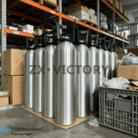 Bouteille de gaz CO2 en aluminium TPED du fabricant ZX, 0,6L, 2L, 4L, avec raccord CGA320, qualité alimentaire, pour boissons gazeuses, vente en gros OEM
