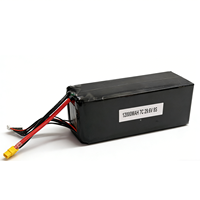 8S Vente en gros OEM 29.6V 12000mAh 7C pour drone de relevé aérien et de protection des cultures, grand modèle RC, certifié CE FCC ROHS MSDS