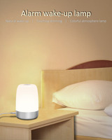 Lampes colorées pour la maison, lumière de nuit à réglage de couleur RGB, simulateur d'aube, réveil, commande tactile, rechargeable, lumière décorative pour la chambre d'enfant