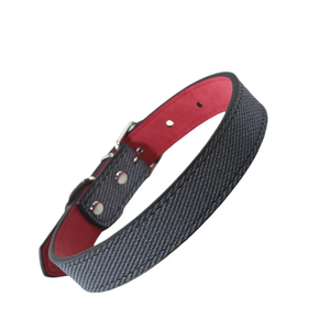 Collier pour chien et chat en PVC, nouvellement sélectionné, avec lettrage et couleurs assorties, accessoires pour animaux de compagnie - Product Image 1