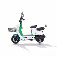 Vélo Électrique (E-Bike) 48V 350W à Moteur Arrière Brushless 3 Vitesses, Grande Vitesse, Longue Autonomie, Batterie Plomb-Acide, Vente Chaude Directe Usine