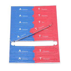 Kit de test scientifique éducatif pour enfants sur les gènes humains à faire soi-même, en coton durable, avec modèles d'ADN et double hélice - Product Image 6
