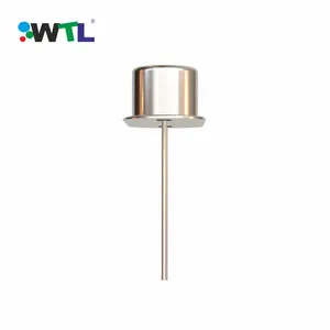 Oscillator WTL Customisable 30pF 30ppm 6.144MHz HC-49S Dip Crystal Oscillator