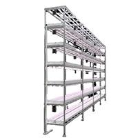 Système vertical à plusieurs niveaux pour fraises Reinfa Farmdrip S avec irrigation goutte à goutte de précision pour un rendement intérieur maximal