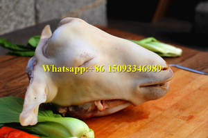 Máquina Depiladora de Cabeza de Oveja y Cabra Tipo Tambor/Máquina de Depilación de Patas de Cerdo/Máquina de Depilación de Pezuñas de Cerdo y Burro - Product Image 5