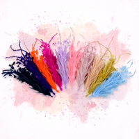 Plumes de poulet de qualité supérieure en gros, bon marché, pour coiffure, motif teinté, 12 pouces, 30 cm, pour la danse de mascarade et l'artisanat