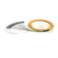 12-Core Pigtail serat dengan SC/LC/FC/ST 0.9mm APC/UPC untuk FTTH ODF panel OM2/OM Simplex/kabel komunikasi dupleks