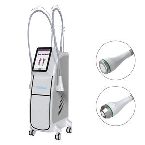 Vertical ABS Freezewave Body Shaping Machine Dual Handle Targeted Face Firming <b>Weight</b> Loss Fat Freezing Home & Commercial Use - Product Image 1