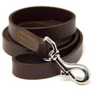 Laisse en cuir 5 pieds-Marron pour chiens - Product Image 1
