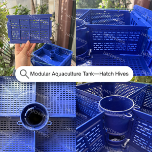 Nuevo Diseño 2025: Tanque de Cría y Cultivo de Langostas para Exteriores, Anti-Escape, de Plástico Reforzado, Cajas para Cangrejos y Cangrejos de Río - Product Image 6