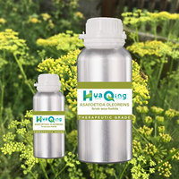 HUAQING fournir Asafoetida extrait liquide ferula assa foetida extrait de racine liquide