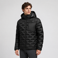 Veste matelassée légère à capuche pour homme 30D, style décontracté, pour l'automne et l'hiver, idéale pour l'extérieur, vente en gros