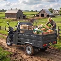 Tricycle électrique cargo ouvert pour passagers, scooter électrique à 3 roues avec espace de chargement de 1,6 x 1,1 m pour adultes