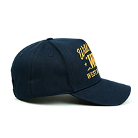 Casquettes de sport unisexes en coton à 5 panneaux, bord incurvé, couleur unie, logo brodé doré personnalisé, casquette de baseball OEM