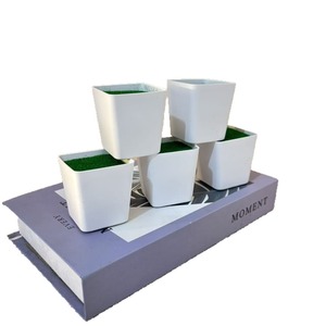 Pot de fleurs carré en plastique Paulon blanc 5,5 cm avec mousse pour la décoration intérieure et la plantation sur bureau - Product Image 4