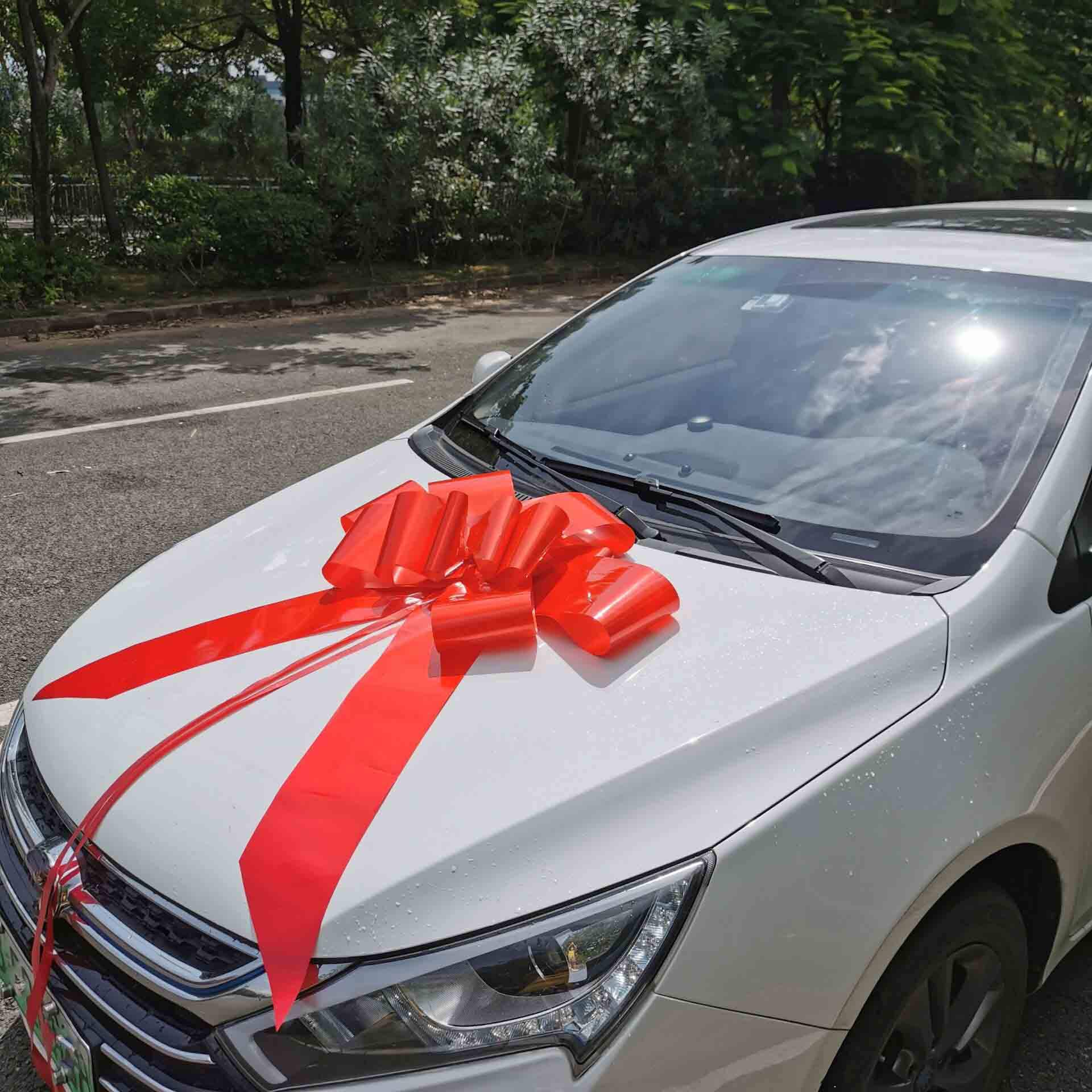 100pcs Nœuds Décoratifs De Mariage, Rubans De Voiture De Mariage, Ivoire - Maison