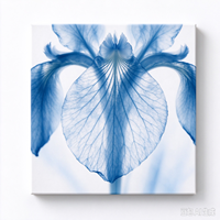 4 Pièces d'Art Mural sur Toile Transparente Bleue, Affiche Abstraite Moderne, Décoration Murale Nordique pour la Maison, Peinture avec Cadre en Bois