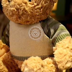 Nouveau Design Vintage Jumper Bear jouets en peluche décoration de la maison ornements filles cadeau ours en peluche avec météo jouets en peluche - Product Image 2