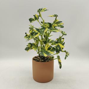 <span class=keywords><strong>Mini</strong></span> <span class=keywords><strong>bassin</strong></span> de fleurs en plastique de verdure artificielle en pot pour la Simulation intérieure bonsaï artificiel maison ferme décor <span class=keywords><strong>jardin</strong></span> Applica - Product Image 1