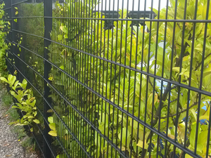 Allemagne Double Rod Mat Pvc Coated Double Clôture Twin Double Wire Fence <span class=keywords><strong>Prix</strong></span> d'usine - Product Image 5