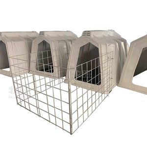 Caja de alimentación de becerro, instrumentos de veterinaria, <span class=keywords><strong>cerca</strong></span> de acero - Product Image 2