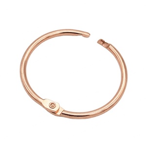 Anneaux de reliure à fermoir articulé EWANG 1,5 pouce or rose pour carnet de notes - Product Image 1