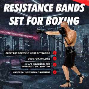 Bandas de resistencia de boxeo de alta calidad CHENGMO SPORTS para golpes/patadas, fitness de 160 libras para mejorar la potencia explosiva/velocidad/agilidad - Product Image 3
