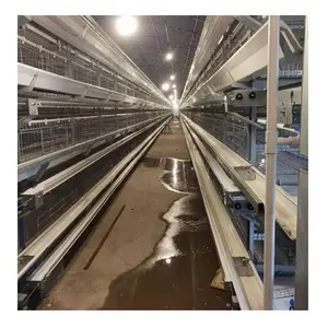 With Automatic Feeding System H Type broiler Chicken Cage System