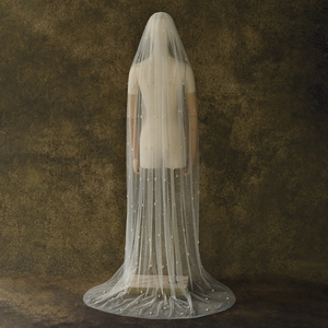 <span class=keywords><strong>Velo</strong></span> <span class=keywords><strong>da</strong></span> <span class=keywords><strong>Sposa</strong></span> in Tulle con Perle Fatte a Mano 100cm/200cm/300cm, Lussuoso <span class=keywords><strong>Velo</strong></span> Lungo con Coda e Bordo Decorato con Perline - Product Image 2