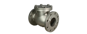 Válvula de Retención de Acero al Carbono Clase 150 con Brida RF RB ASTM A216 WCB Industrial - Product Image 3