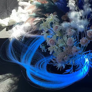 Source de lumière LED personnalisée à <span class=keywords><strong>fibre</strong></span> <span class=keywords><strong>optique</strong></span>, dimmable, pour décoration de mariage, lampe cascade, indice de protection IP33, télécommande, CRI80 - Product Image 4