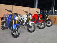 Electric Motorcycle Dual Disc Brake Anti Slip Tire Comfortable Riding High Speed Racing Electric Motorbike