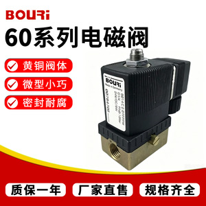 โซลินอยด์วาล์ว Bouri รุ่น 6014C20FRPM 24V DC G1/4 ตัววาล์วทองเหลือง สำหรับอุปกรณ์ทำความสะอาด - Product Image 4