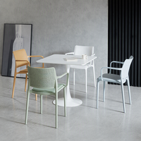 HAUMR Chaise de salle à manger nordique en plastique avec dossier évidé épaissi pour salon de thé, bibliothèque, bureau et loisirs
