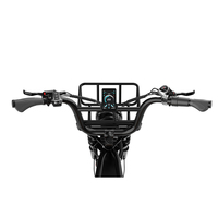 Vélo cargo électrique KOOLUX X9 PRO 20 pouces avec moteur arrière - Cadre en acier, moteur sans balais 250W, autonomie 100-180 km