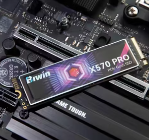 Grosir untuk BI-WIN Internal SSD Solid State Drive M.2 nv-me X570 PRO 1TB 2TB 4TB Independent Cache independen baru dalam stok - Product Image 1