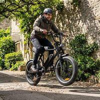 Vélo électrique tout-terrain à pneus larges 20*4.0 pour la plage, la neige, le sable et le gravier